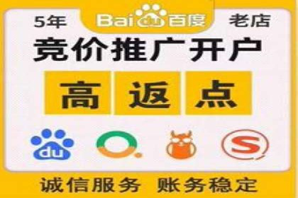 百度广告推广在旅游行业的成功案例